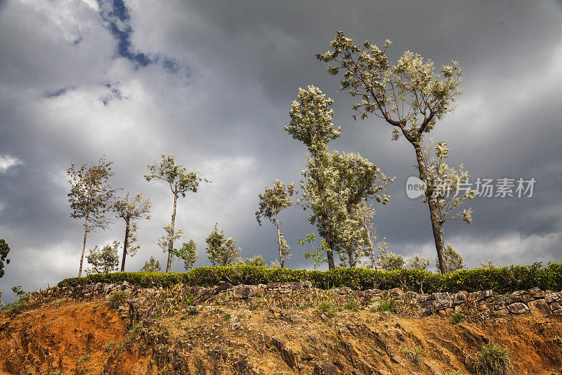 斯里兰卡风景，Nuwara Eliya